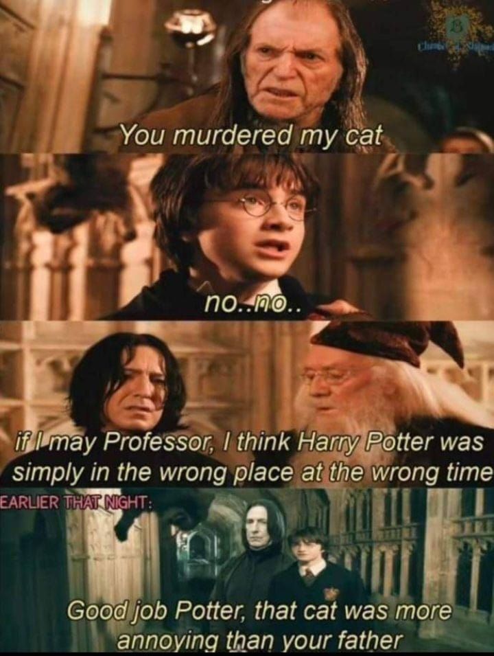 Harry Potter memes