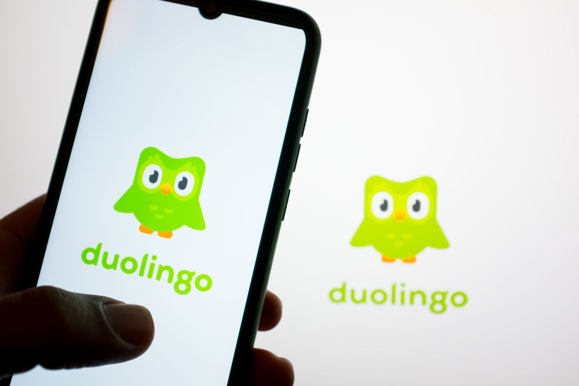 Duolingo Photo Illustration - Source: Getty