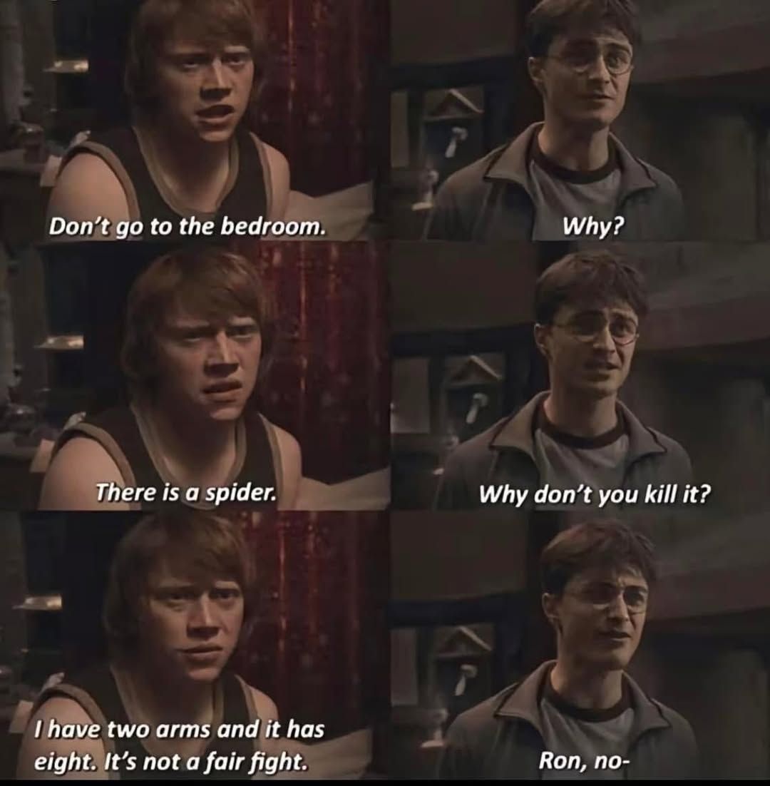 Harry Potter memes