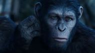 Scene from Dawn Of The Planet Of The Apes | Image via 20th Century Studios