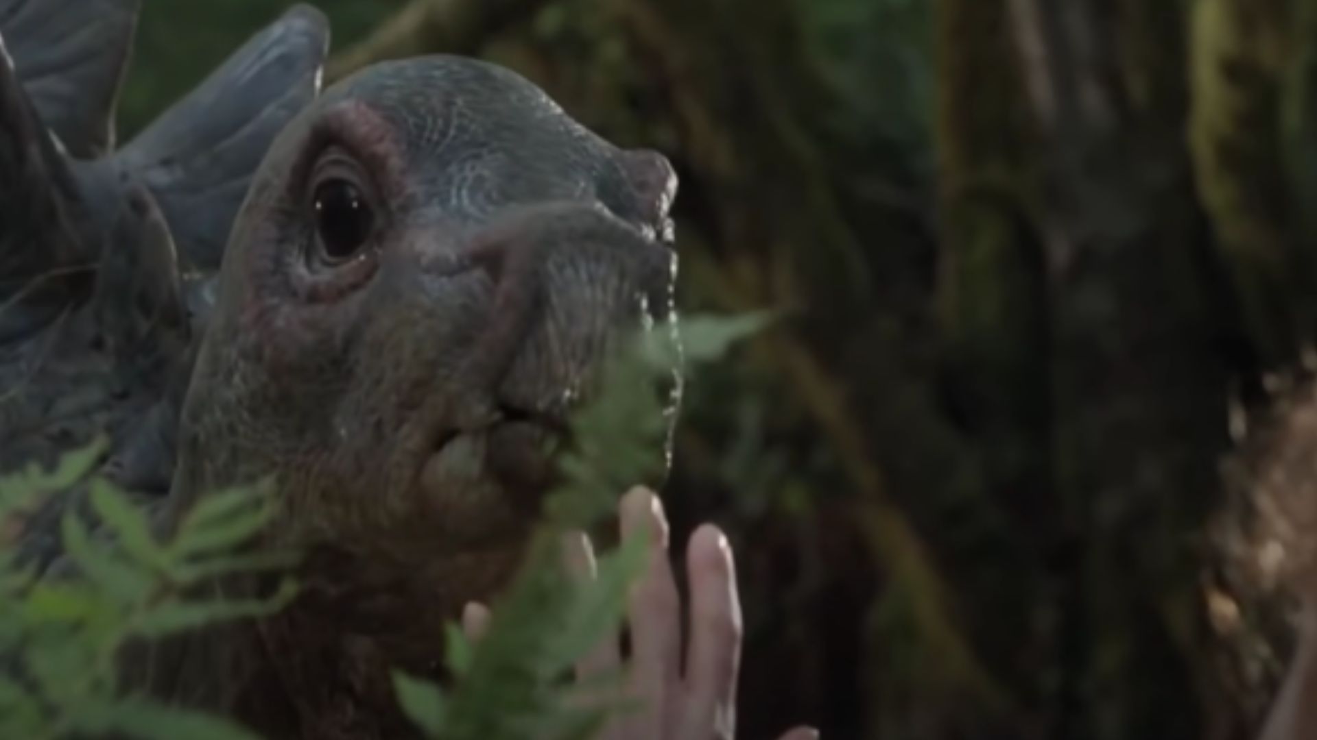 Baby Stegosaurus from Jurassic Park Lost World | Image via Netflix