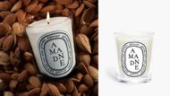 Amande (Almond) Classic candle (Image via Diptyque)