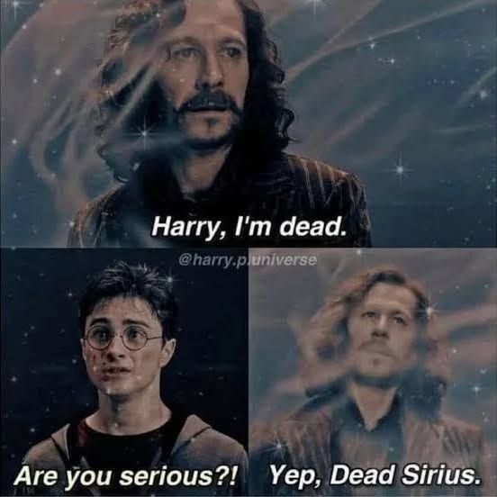 Harry Potter memes