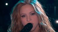Shakira | Image via NFL