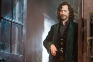 Who played Sirius Black in Harry Potter?