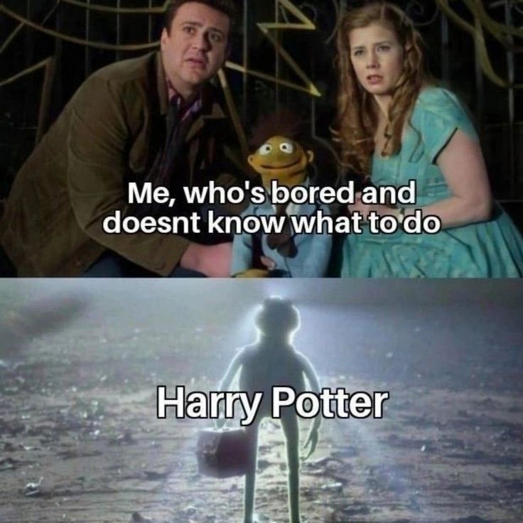 Harry Potter memes