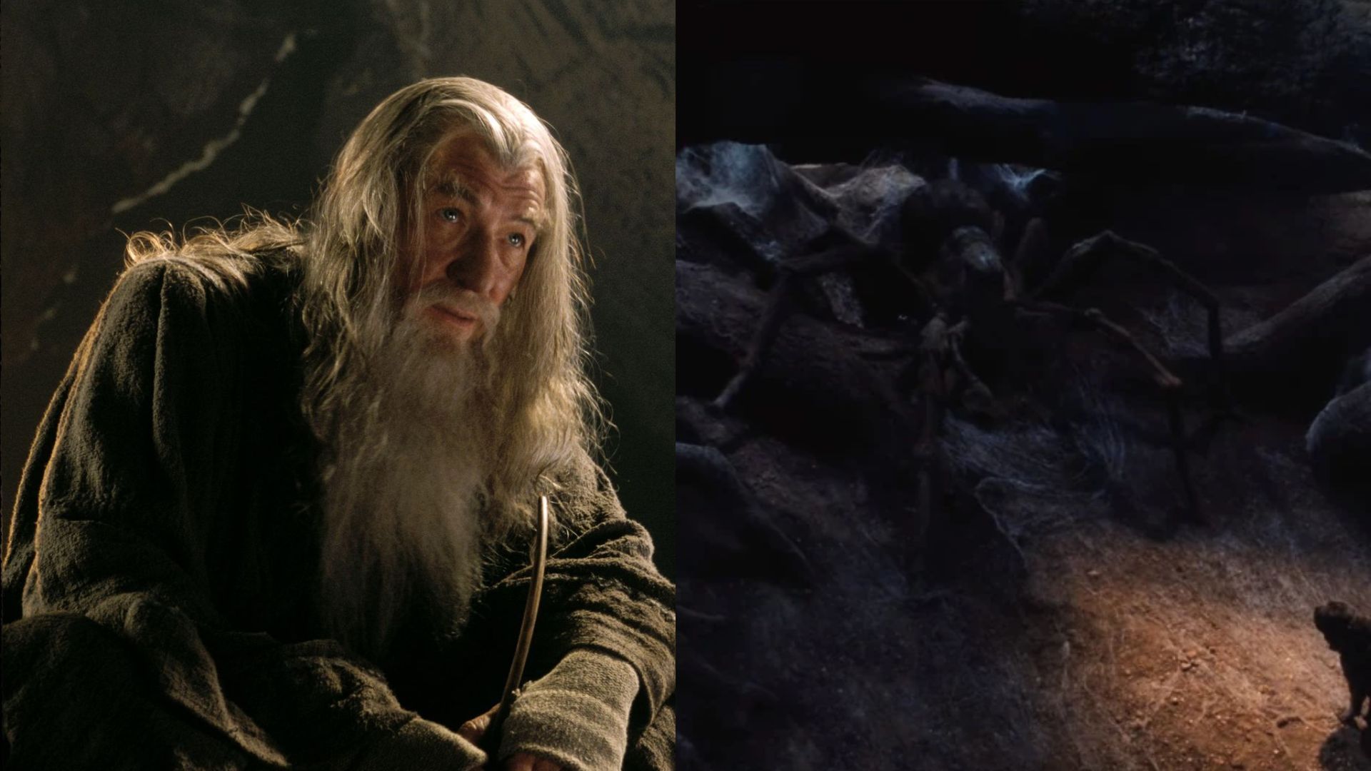 Gandalf (Left) and Acromantula (Right) | Image via Prime Video