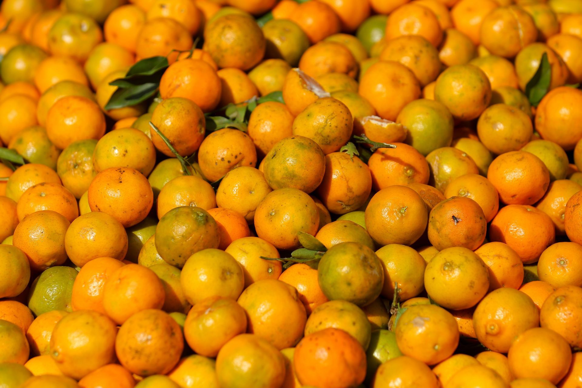 Nepali Market Flooded With Oranges As Season Kicks-in - Source: Getty