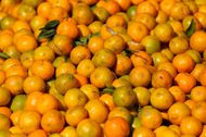 Nepali Market Flooded With Oranges As Season Kicks-in - Source: Getty