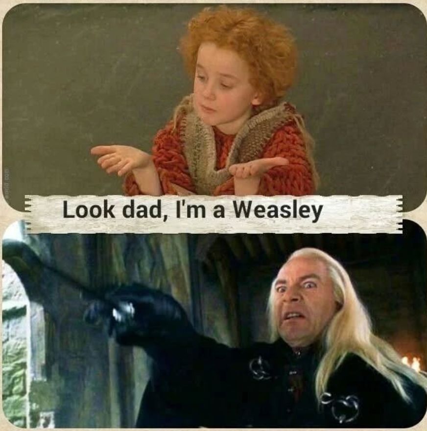 Harry Potter memes