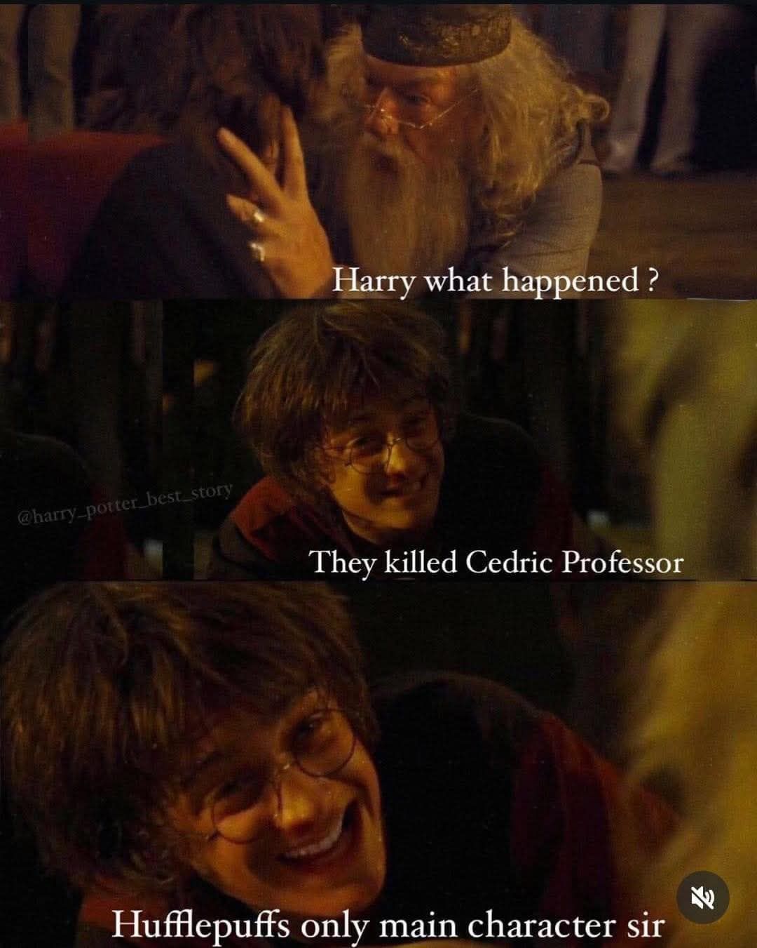 Harry Potter memes