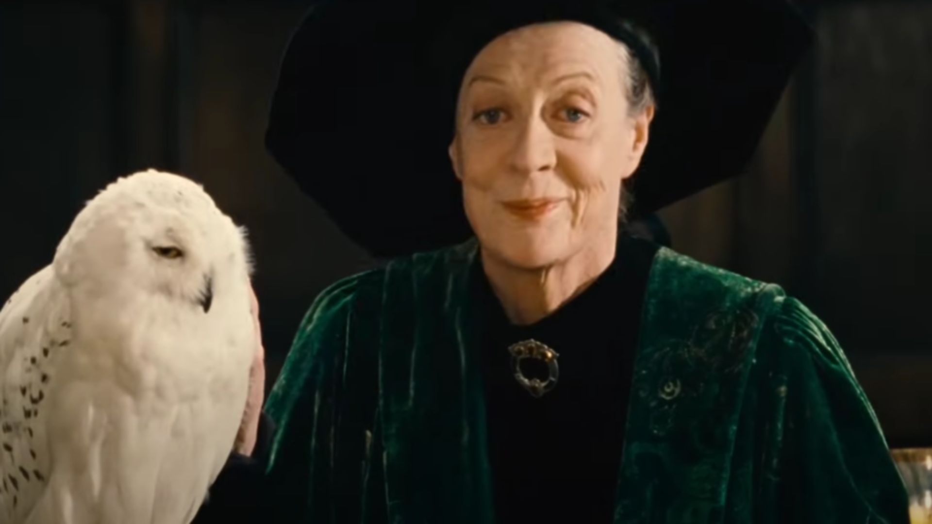 Professor McGonagall | Image Via: Warner Bros. Pictures