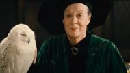 Professor McGonagall | Image Via: Warner Bros. Pictures