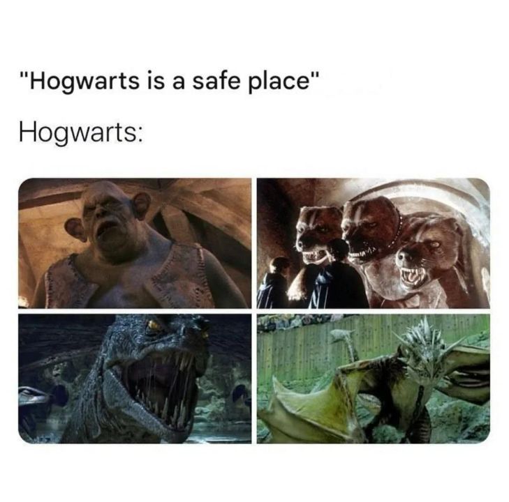 Harry Potter memes