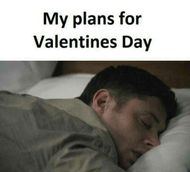 Valentine's Day Memes