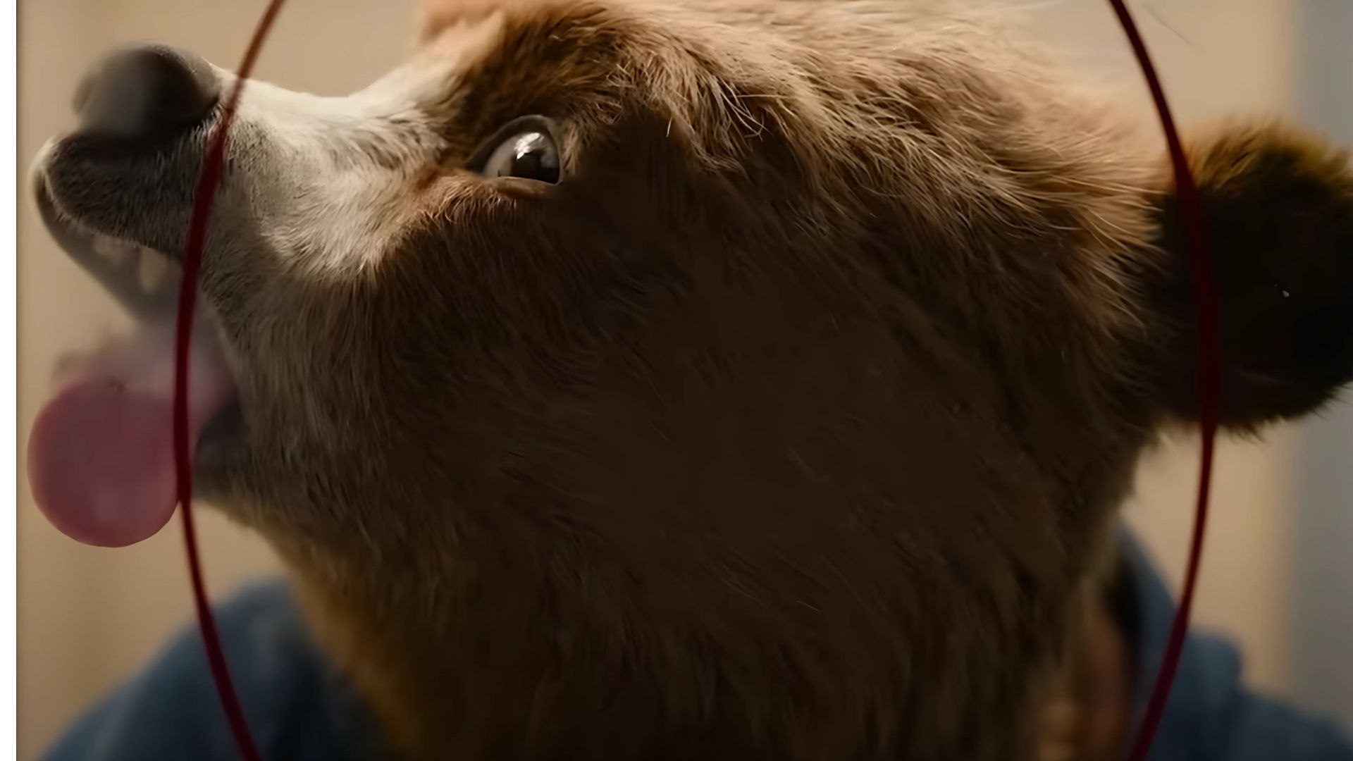 A still from Paddington In Peru | Image via Sony Pictures Entertainment YouTube