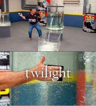 Twilight meme