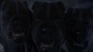 Three-Headed Dog | Image Via: Warner Bros. Pictures