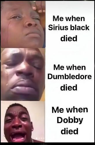 Harry Potter memes