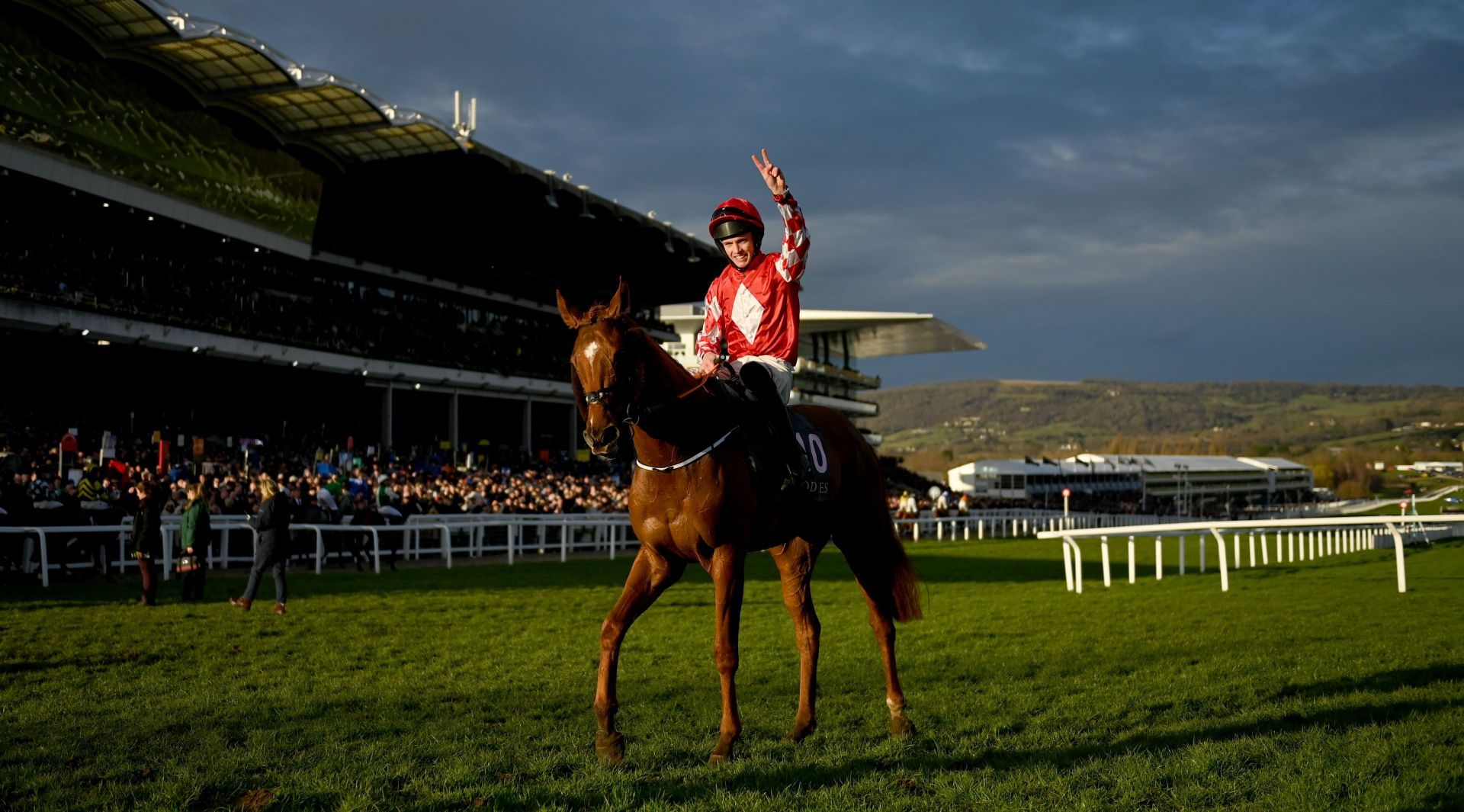 Cheltenham Racing Festival - Day One - Source: Getty