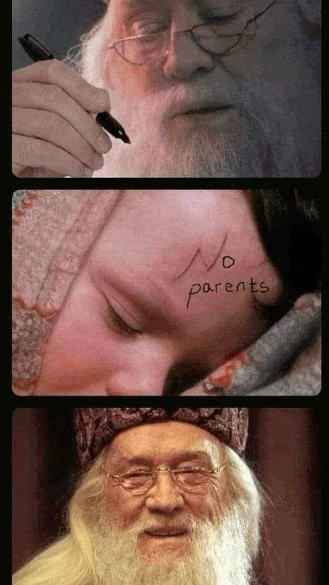 Harry Potter memes