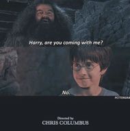 Harry Potter memes