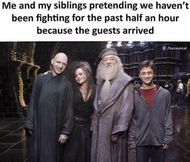 Harry Potter memes