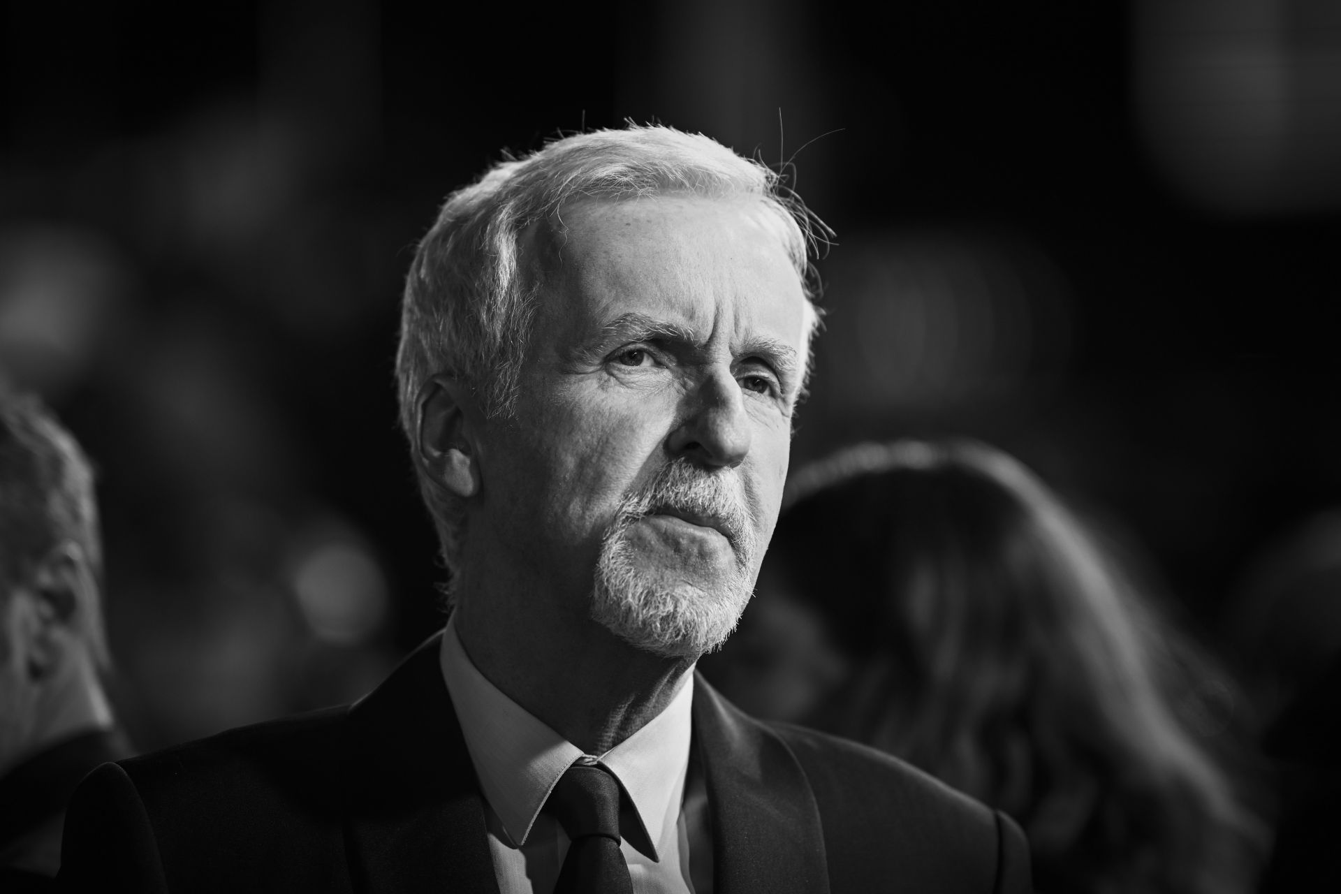 The World Premiere of James Cameron&#039;s &quot;Avatar: The Way of Water&quot; (Image via Getty)