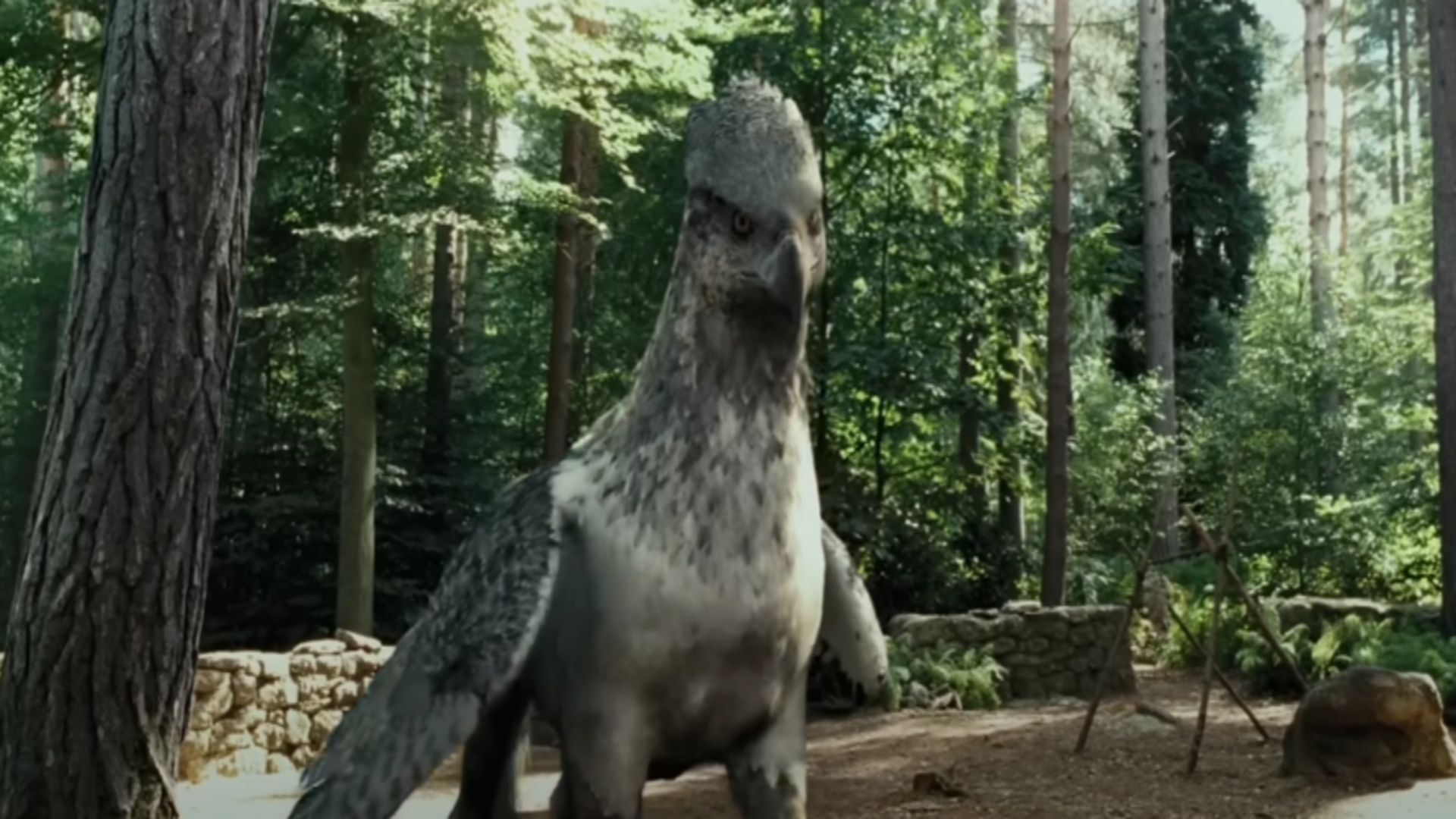 Hippogriff | Image Via: Warner Bros. Pictures