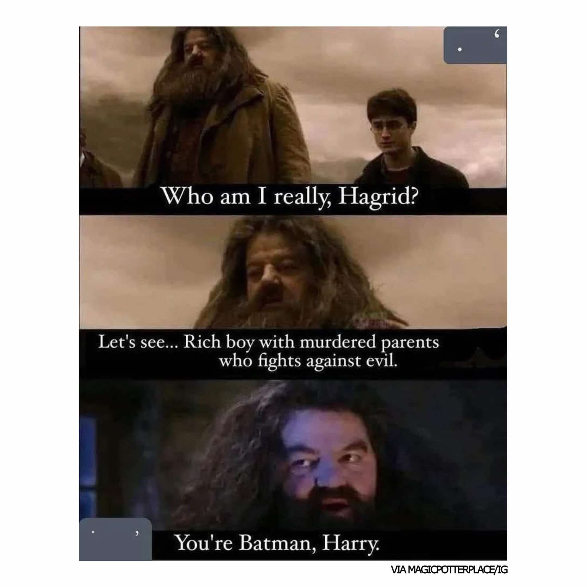 Harry Potter memes