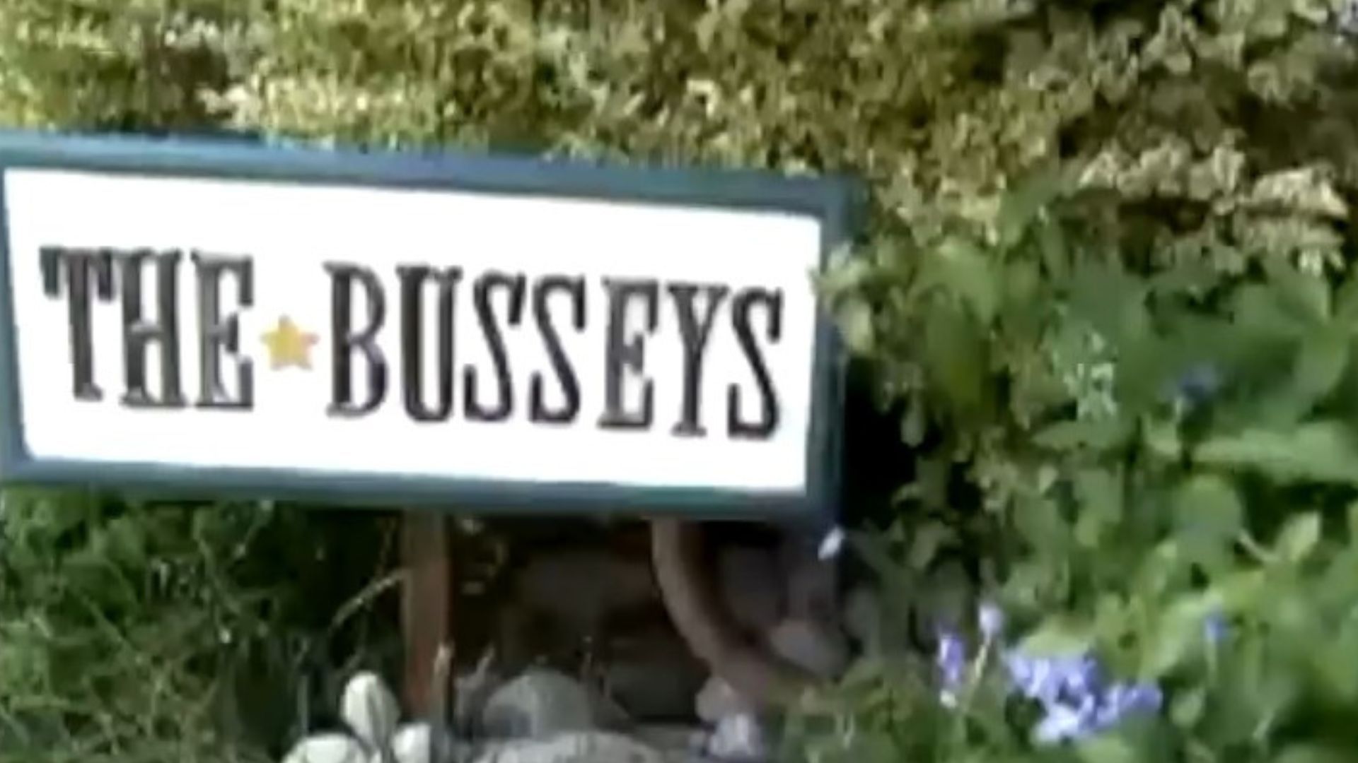 The Bussey Bunch (2008) | Image via: TLC