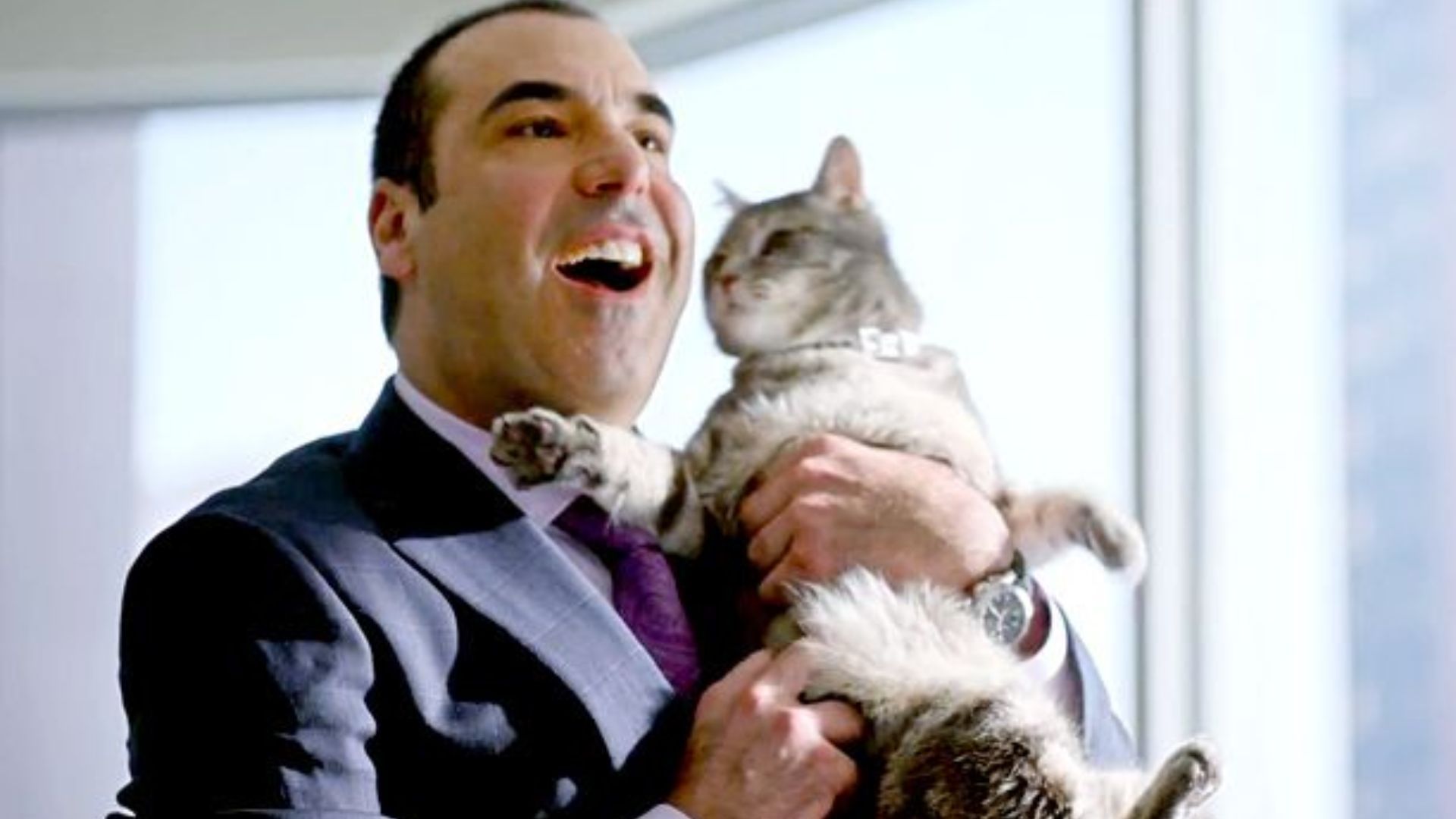 Rick Hoffman as Louis Litt | Image via Netflix