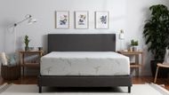 Tulo Bamboo 12" Medium Plush Green Tea Memory Foam Mattress (Image via mattressfirm.com)