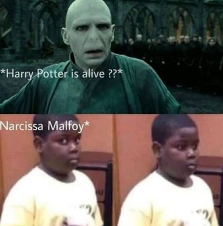 Harry Potter memes