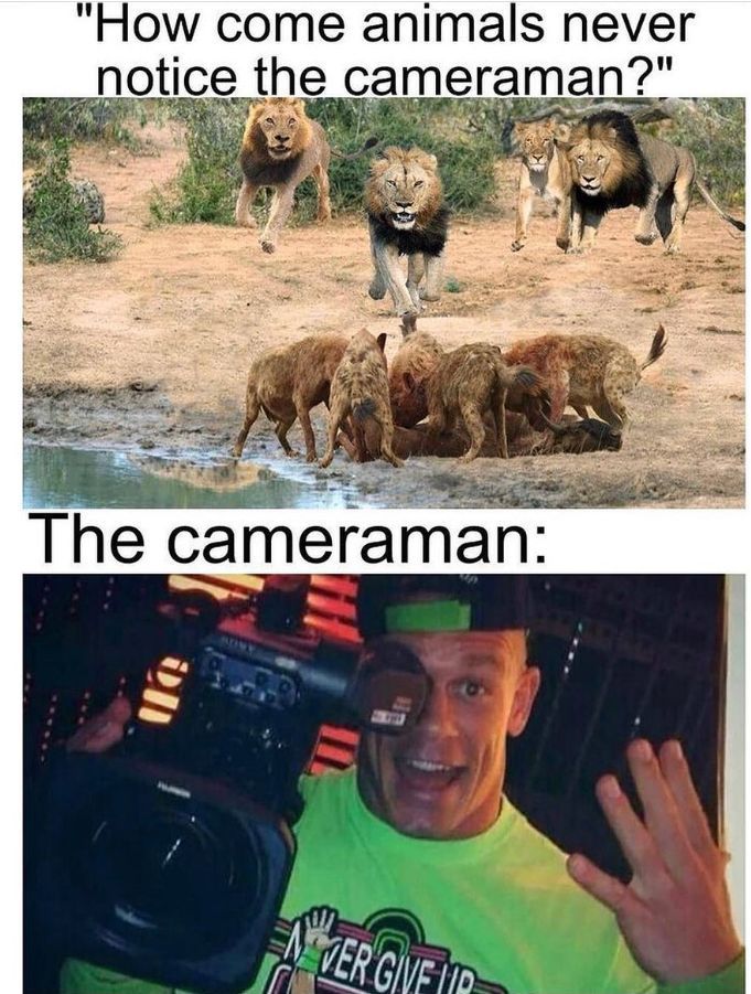 John Cena meme