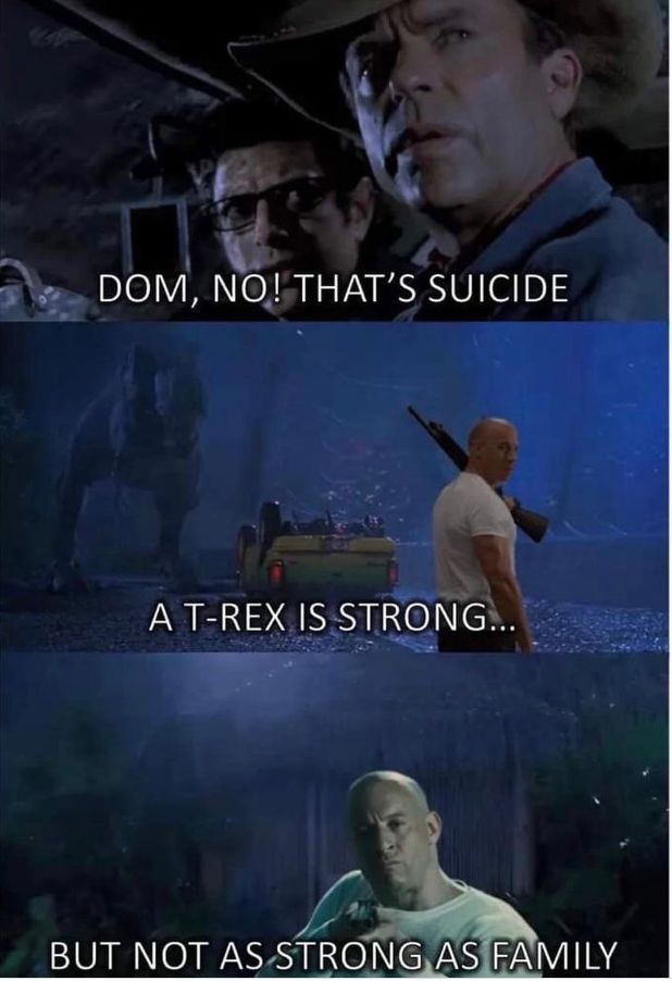 Vin Diesel family memes	