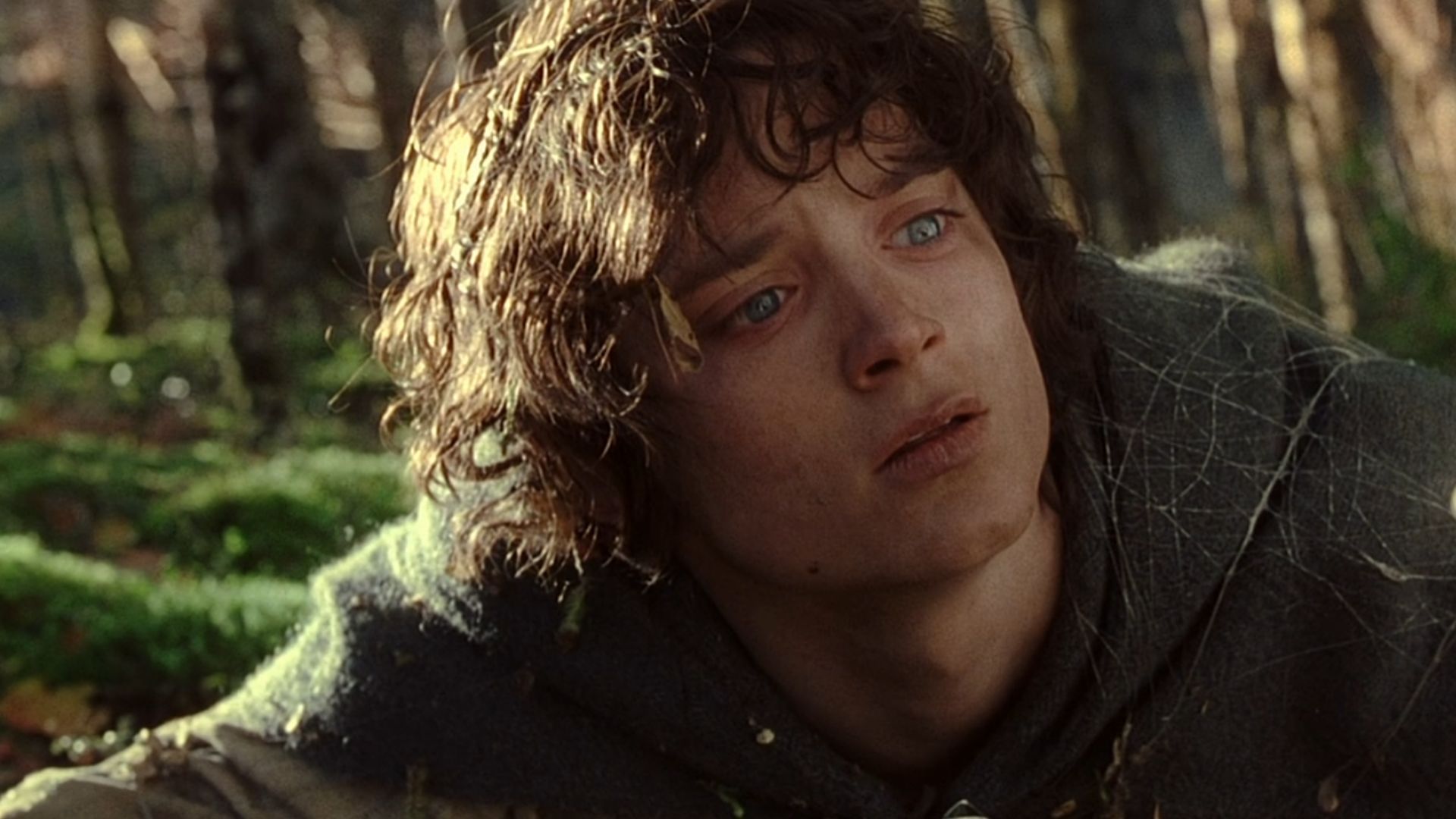 Elijah Wood in LOTR: The Return of the King | Image via New Line Cinema