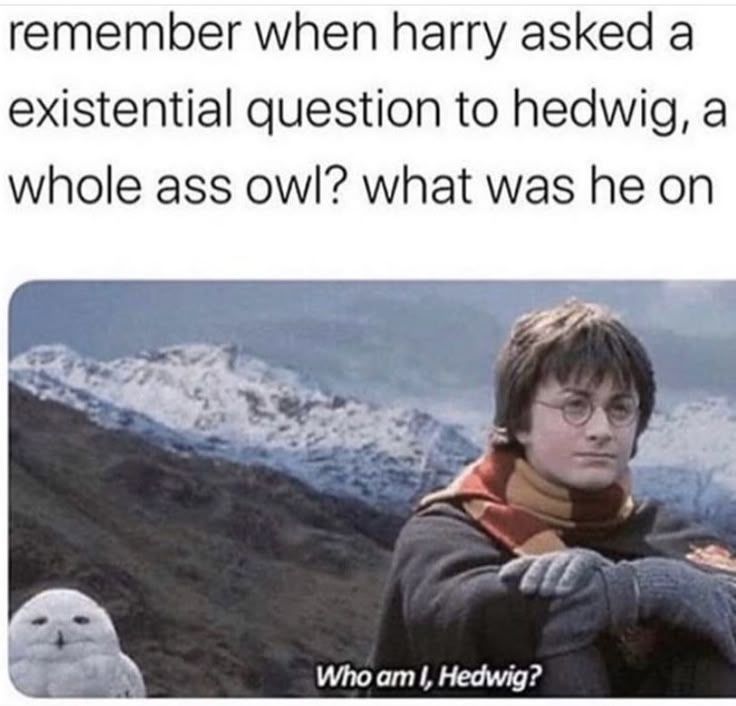 Harry Potter memes