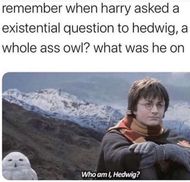 Harry Potter memes