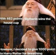 Harry Potter memes