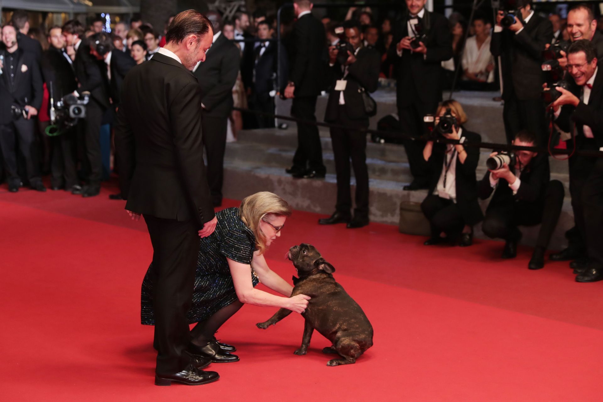 Gary the Dog with Carrie Fisher at the 69th Annual Cannes Film Festival (Image via Neilson Barnard/Getty Images)