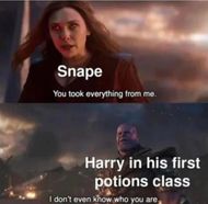 Harry Potter memes