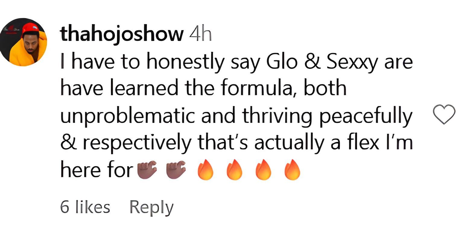 Another user claims the two have learnt the formula (image via @thahojoshow on Instagram)