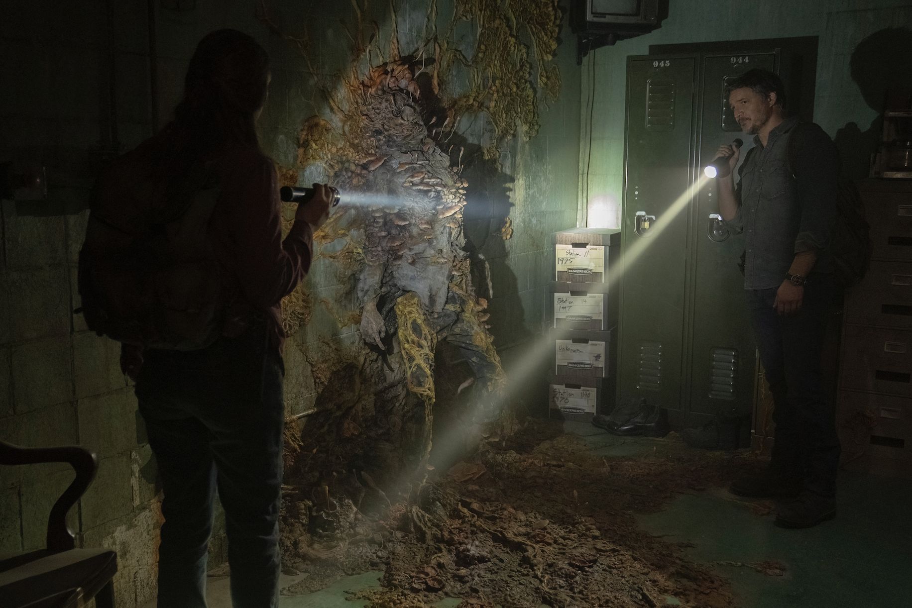 What is Cordyceps in The Last of Us?