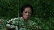 Crouching Tiger Hidden Dragon (Image via Columbia Pictures)