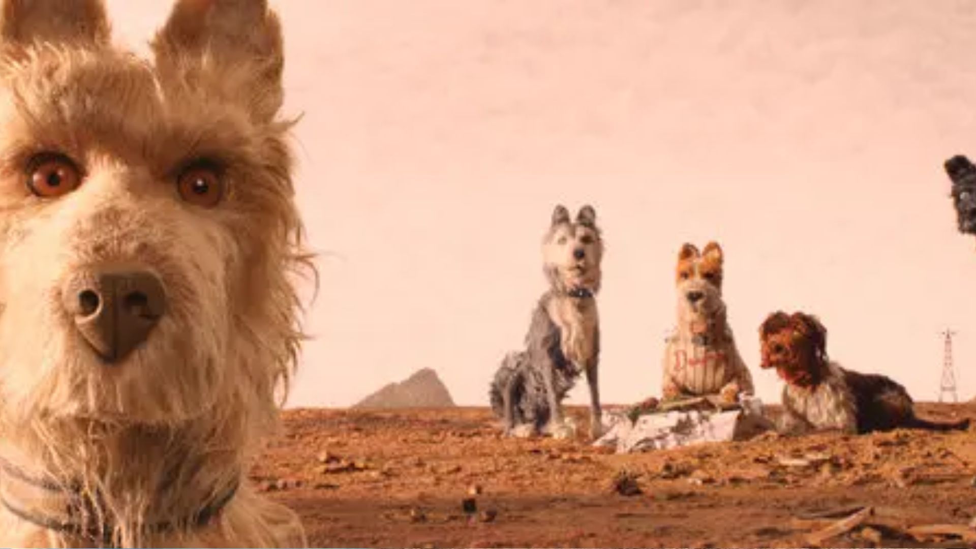 Isle of Dogs | Image via Prime Video