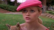 Legally Blonde | Image Via: Metro-Goldwyn -Mayer Pictures