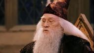 Albus Dumbledore in Harry Potter and the Sorcerer's Stone | Image via: Warner Bros. Pictures