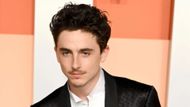 Timothee Chalamet (Image via Getty)