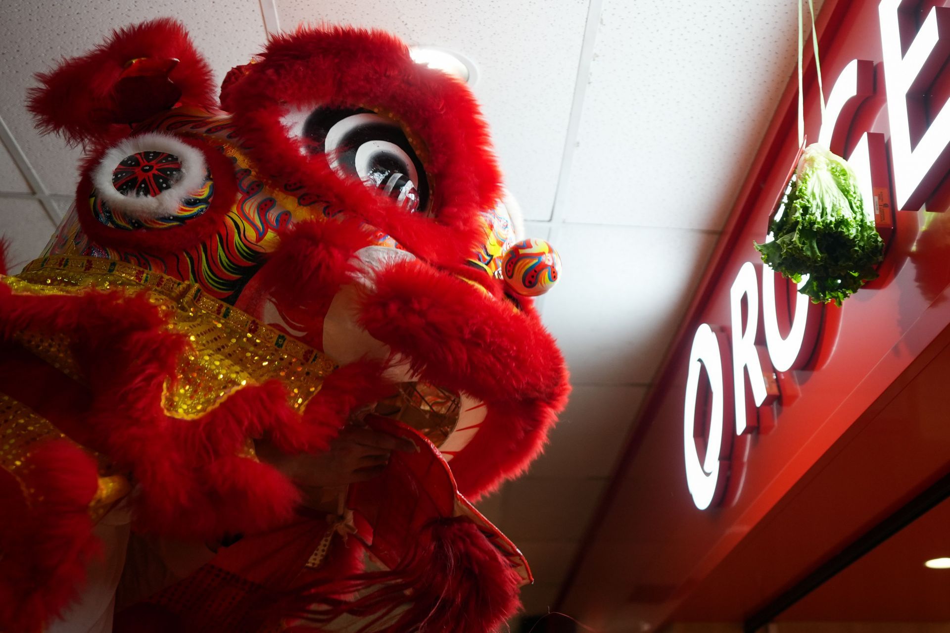 2025 Toronto Chinatown Lunar New Year Celebrations - Source: Getty